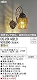 オーデリック　エクステリアライト 【OG 254 482LC】【OG254482LC】