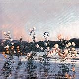 泡沫の夢は幻に (特殊商品(ミニAL＋Tシャツ)(スマプラ対応)）（初回生産限定） - あたらよ