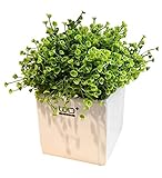 現代の白いセラミックプランターポットのプラスチック人工植物