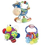 学習おもちゃバンドルPlaygro 's ToxボックスクリップClopアクティビティRattle、Sassy Bumpy Ball、とNuby PuriceジェルTeethingキーリング