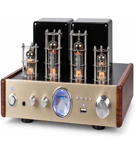 Amazon.co.jp: 2A3C 2A3 真空管アンプキット HIFI(4pcs Matched Quad