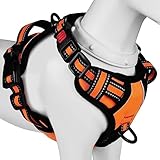 【Amazon.co.jp限定】BaoCheng 犬ハーネス 犬用胴輪 小型犬/中型犬/大型犬ハーネス 犬用胴輪 引っ張り防止 アタマを通さず 咳き込み軽減 サイズ調整可能 夜間反射材 抜けない 通気性 簡単着脱 おしゃれ 安全 しつけ用 訓練 歩行補助 散歩 可愛い(オレンジ,S)