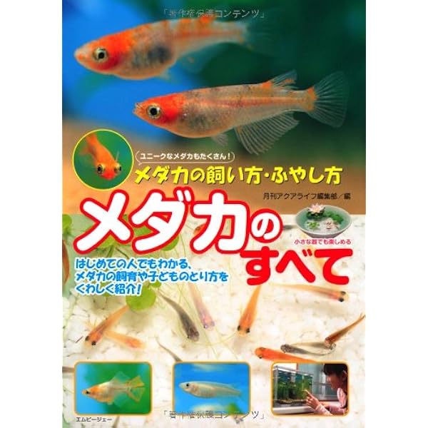 パチアキ　メダカ本 プロ直伝！メダカの飼い方 繁殖＆交配ガイド 大人のフィールド