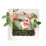 ウォールグリーン フェイクグリーン ボタニカルフレーム付き スクエア 正方形 花器 花瓶 セット ローズ 薔薇 北欧風 鉢植え 合成樹脂 シルク ピンク バラ色 緑 赤