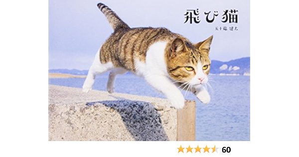 飛び猫 五十嵐 健太 配送料無料