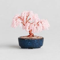 Amazon.co.jp: ネジッテBONSAIキット ビーズを使って自分で作る