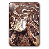 3drose LLC lsp _ 83954 _ 1パレスチナViper Snakem na02 dno0440 m David Northcott Single切り替えスイッチ