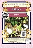 和綿/わめん/大島 在来/有機 種子/グリーンフィールド/花 [小袋]