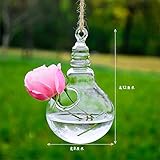 SHINA 2個セット 電球 ハンギング ガラス 花瓶 水栽培ポット 観葉植物 水耕栽培植物 ホームデコレーション