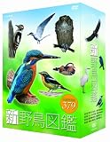 �V �쒹�}�� DVD-BOX
