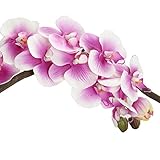 POTOJP 造花 手作り 造花 蝶蘭胡蝶蘭ブーケ 枯れないお花 本物みたい 工芸 高級 贈り 壁掛け 結婚式 誕生会 二次会 お祝い 花束プレゼント インテリア 华道 (ベージュ)