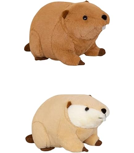 Amazon.co.jp: SUPER BEAVER スーパービーバー ビーバーちゃん