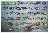 Painless Learning FWF-1 Freshwater Fish Placemat