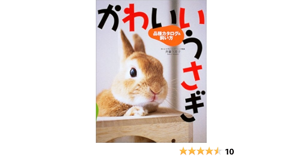 かわいいうさぎ 品種カタログ 飼い方 久美子 斉藤 本 通販 Amazon