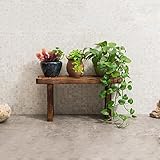 ADDAS 梯子型バルコニーフラワースタンドリビングルームソリッドウッドマルチレイヤーポット木製インテリアフラワーシェルフ ( サイズ さいず : 60*20*22cm )