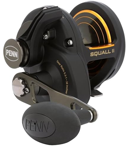 Fathom II Lever Drag 2 Speed - 10XNLD2 CV REL BX : Amazon.sg