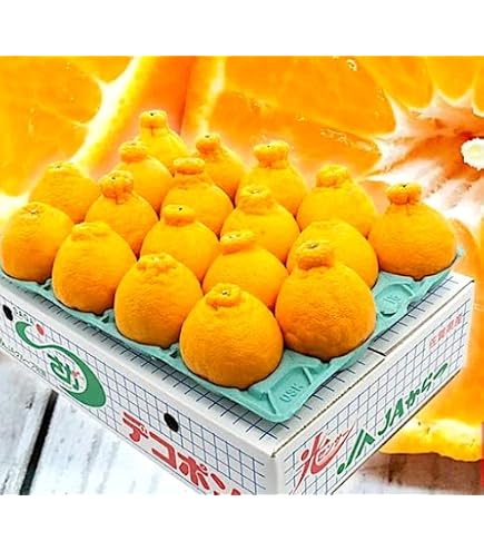 Amazon.co.jp: 不知火 訳あり 5キロ（＋300g保証分 計5.3kg