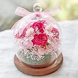 プリザーブドフラワー ガラスドーム ギフト Lサイズ （フランボワーズ） ガラスの森～ローズシュシュ～