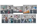 S.H.フィギュアーツ 仮面ライダーフォーゼ モジュールセット05 （魂ウェブ限定）