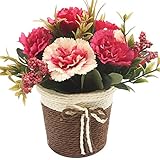 Funpa　造花　カーネーション　花　バスケット　エレガント　母の日　先生の日　プレゼント　テーブル　玄関　本棚　店舗　置物　飾り　装飾　ローズレッド　ブルー　パープル　プラスチック