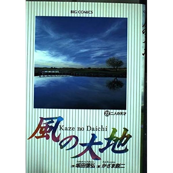 Amazon.co.jp: 風の大地: 知勇と蛮勇 (23) (ビッグコミックス) : 坂田