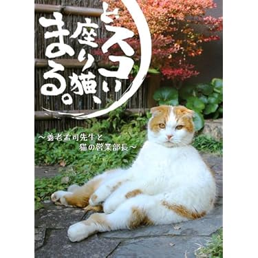 Amazon.co.jp 売れ筋ランキング: undefined の中で最も人気の