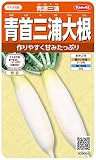 サカタのタネ 実咲野菜5004 青首三浦大根 青源三浦 00925004
