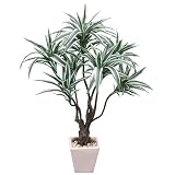 光触媒・人工観葉植物 ドラセナワーネッキー 黒(鉢の色)