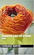 Ornamental Plant Type Of Citrus Fruit (English Edition)