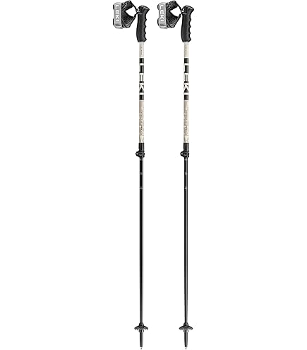Amazon | [レキ] スキーストック ベノム バリオ 3D VENOM VARIO 3D RD