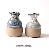 Abusun 花瓶 セラミック 小型 可愛いデザイン ミニ 装飾 陶器 工芸品 飾り 水耕栽培 ボトル プレゼント 2個 (カラー6)