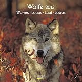 Woelfe / Wolves / Loups / Lupi / Lobos 2013. Broschuerenkalender