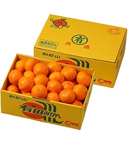 Amazon.co.jp: みかん 有田みかん 青秀 L～Sサイズ 5kg 和歌山県産 JA