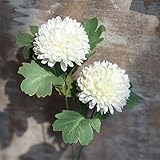 TeFuAnAn タンポポ 造花　手作り インテリア アートフラワー 結婚式 お祝い 飾り ギフト 5色選択（ホワイト）