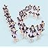 アイドルカレッジ「idolcollege(通常盤)」