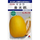 メロン 種 【 金太郎 】 種子 小袋（約35粒）