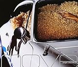 REWIND~singles collection+~(CCCD) - move
