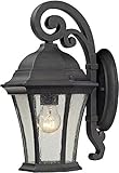 Elk 45050/1 8 by 14-Inch Wellington Park 1-Light Outdoor Wall Sconce with Seedy Glass Shade, Weather