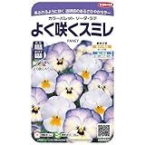 【種子】よく咲くスミレ　ソーダ・ラテ 小袋