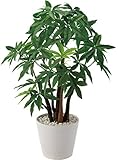 ポピー 観葉植物の造花 パキラポット