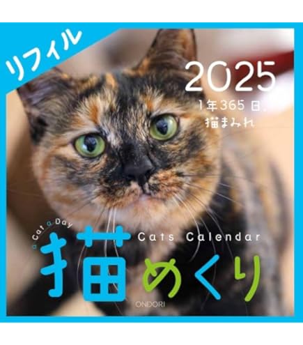Amazon | 日めくりニャンコ！2025年(卓上日めくりカレンダー猫版) 本体