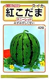 【種子】紅こだまスイカ サニーレッド 野菜 トーホクのタネ