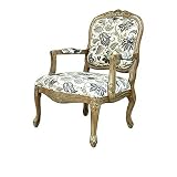 Crestview Collection CVFZR1304 Birch Huntley Pattern Fabric Accent Chair [並行輸入品]