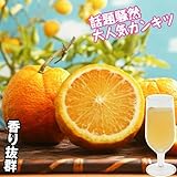 国華園　果樹苗　カンキツ　じゃばら　3株【※発送が国華園からの場合のみ正規品です】