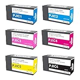 PP-50 PP-100 インクカートリッジ 6色セット PJIC1 PJIC2 PJIC3 PJIC4 PJIC5 PJIC6 C13S02A9991 DiscProducer PP-50 PP-100プリンターに最適 (ブラック、シアン、マゼンタ、イエロー、ライトシアン、ライトマゼンタ、6個)。