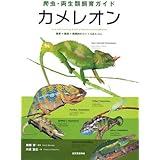 カメレオン: 飼育+繁殖+種類別のコツ+Q&A etc. (爬虫・両生類飼育ガイド)