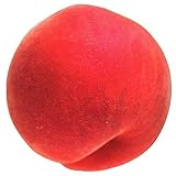 国華園　果樹苗　モモ　あかつき　1株