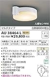 AU38464L 電球色LED人感センサ付アウトドアシーリング