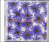 Air Craft Instrumental �n�[�g�E�R���f�B�V���i�[�E�V���[�Y/BLUE SUMMER BOUND
