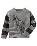 OshKosh Boy 's恐竜テーマSki Lodgeセーター;グレーwithストライプ袖 カラー: グレー